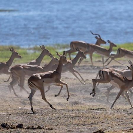 Jackalberry Chobe Hotel Kasane Buitenkant foto